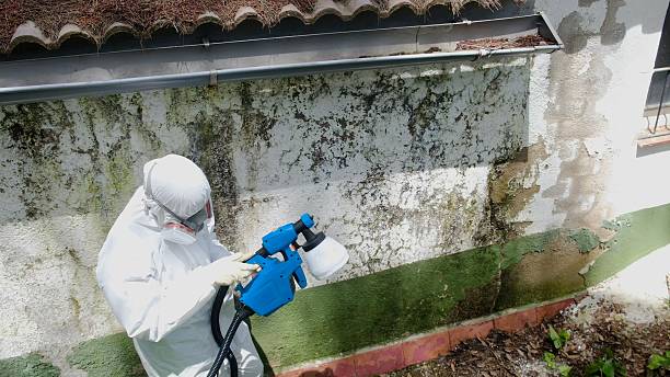 Trusted Mold Remediation service in Manchester, PA - Cheap Mold Removal